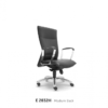 Director Chair